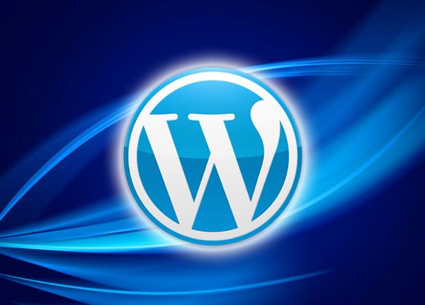 Wordpress Website Development Company in Chandigarh